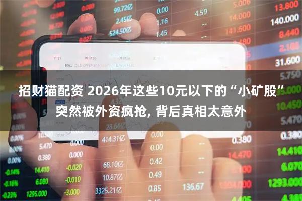 招财猫配资 2026年这些10元以下的“小矿股”突然被外资疯抢, 背后真相太意外